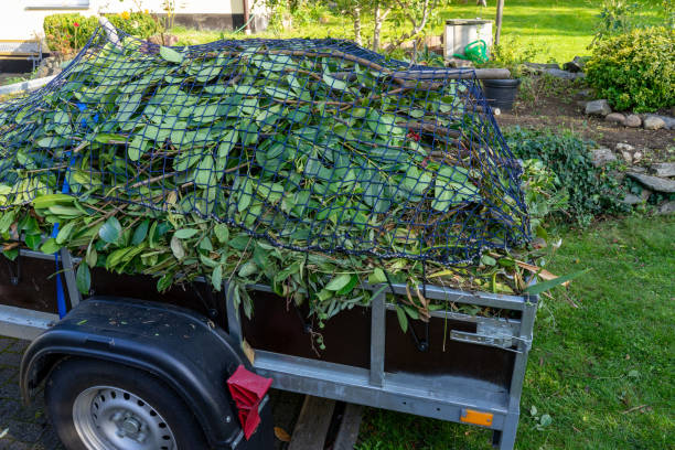 Shed Removal in Coyne Center, IL